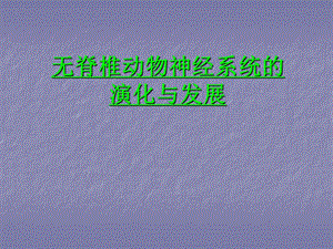 动物神经系统的进化.ppt