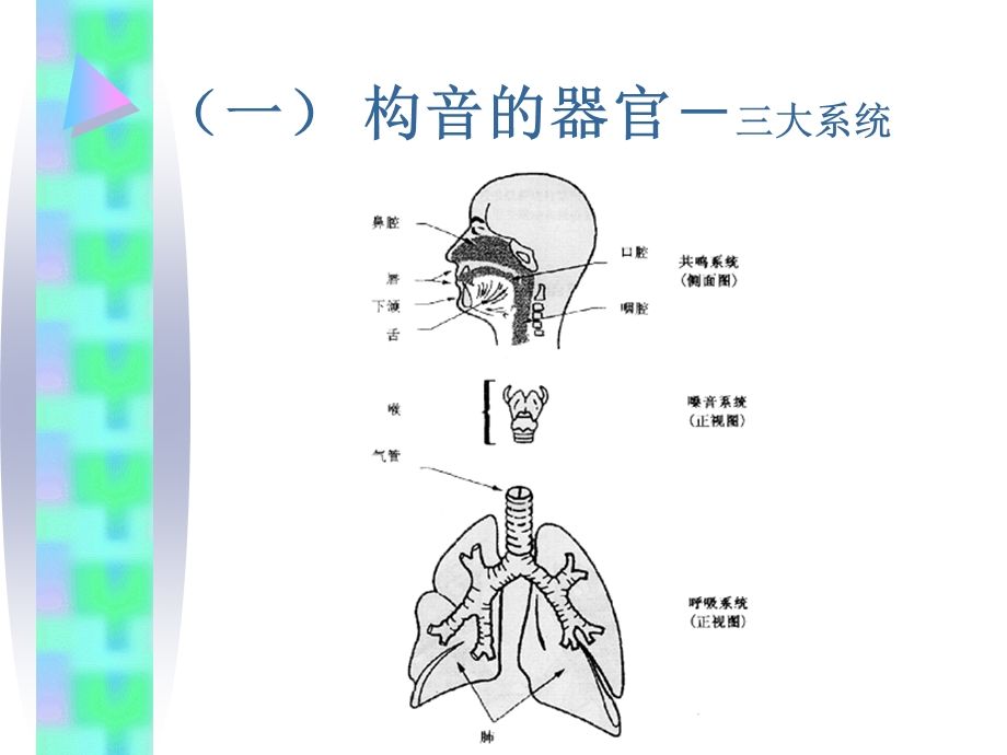 构音障碍的治疗.ppt_第2页