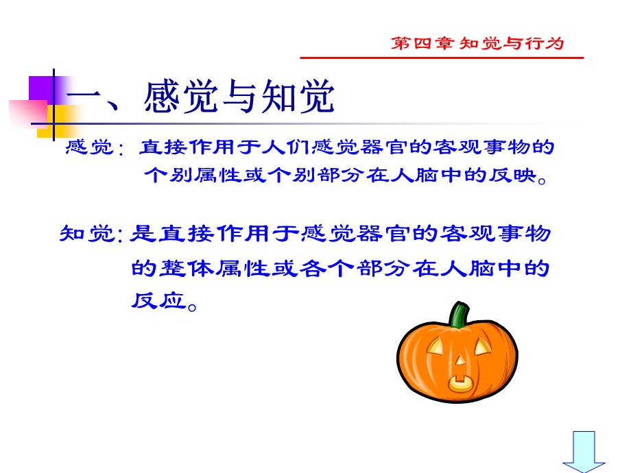 第四章知觉与行为.ppt_第2页