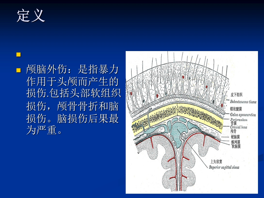 颅脑外伤的病情观察和护理【PPT】 .ppt_第2页