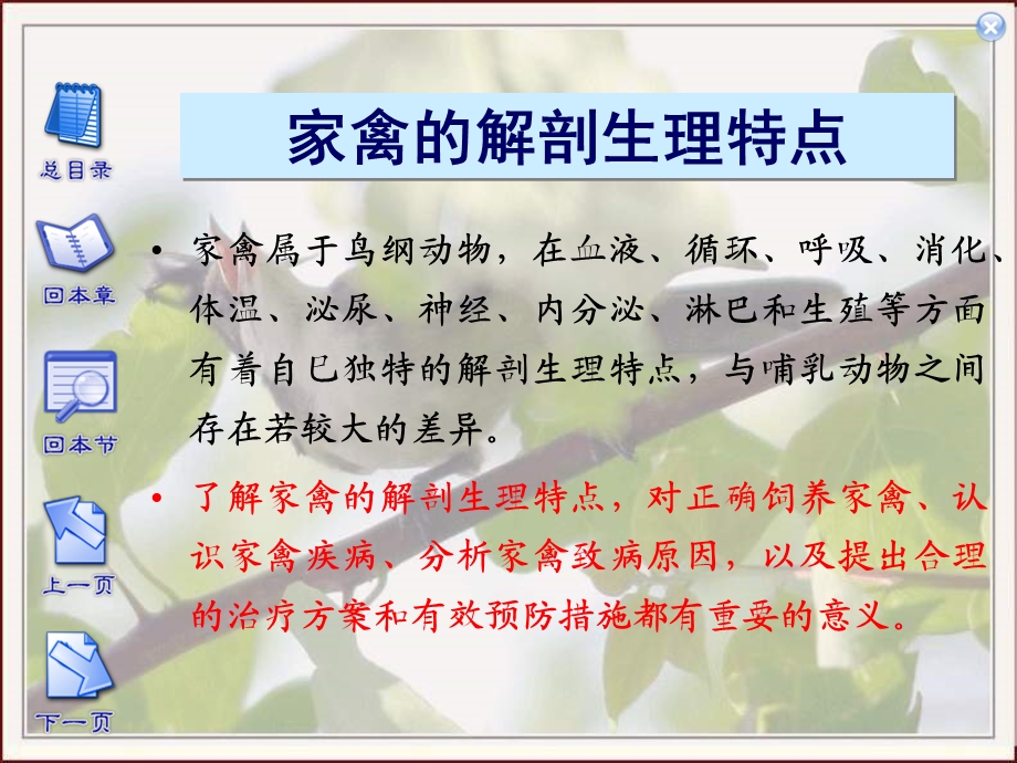 家禽的早期胚胎发育.ppt_第1页