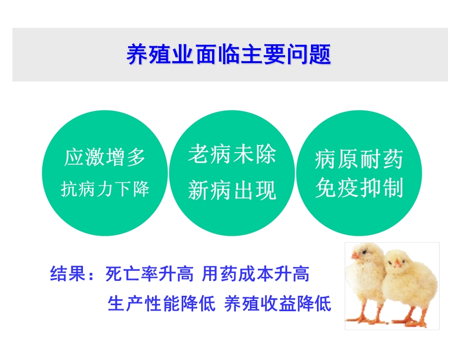 中药在规模化养殖的应用思路.ppt_第2页