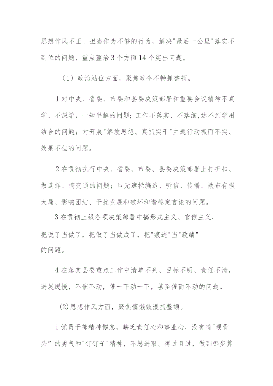 开展“解放思想、真抓实干”主题行动纪律作风大整顿实施方案.docx_第3页