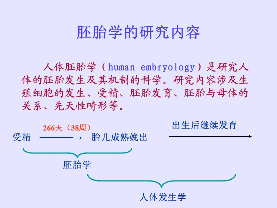 人体胚胎学.ppt.ppt_第2页