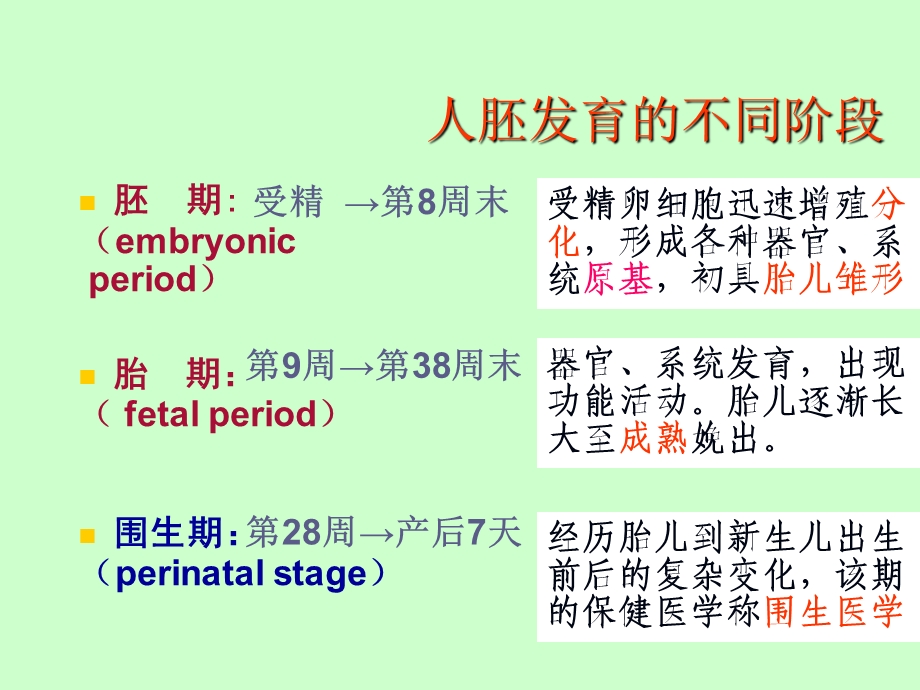 人体胚胎学.ppt.ppt_第3页