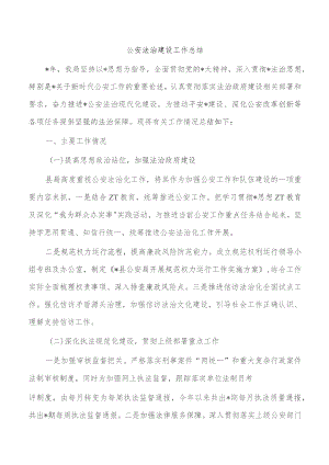 公安法治建设工作总结.docx