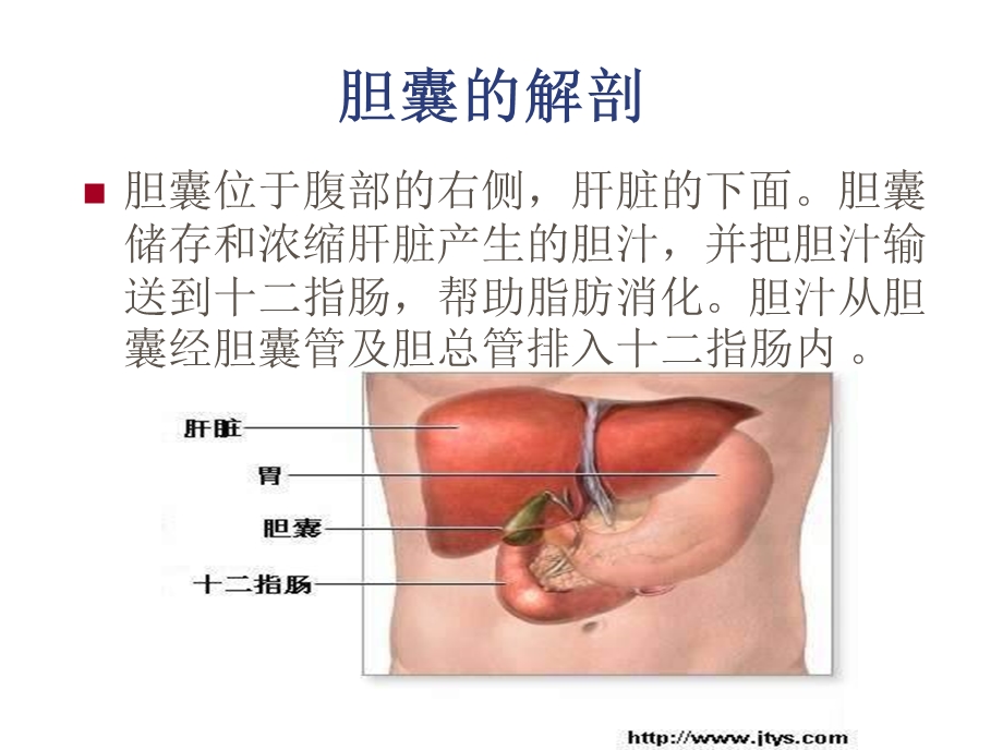 .2胆囊结石胆囊炎围手术期护理_第2页