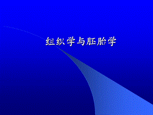 组织胚胎学结缔组织.ppt