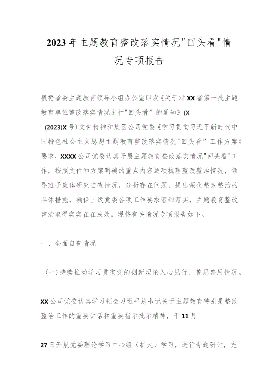 2023年主题教育整改落实情况“回头看”情况专项报告.docx_第1页