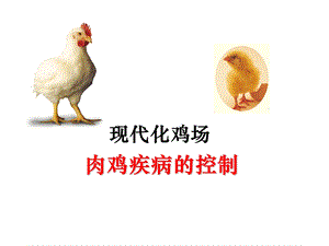 现代化鸡场肉鸡疾病控制.ppt