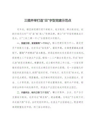 经验做法：三措并举打造“田”字型党建示范点.docx