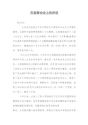 在县委全会上的讲话.docx