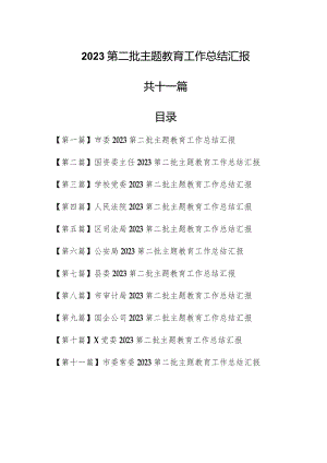 （11篇）2023第二批专题教育工作总结汇报.docx