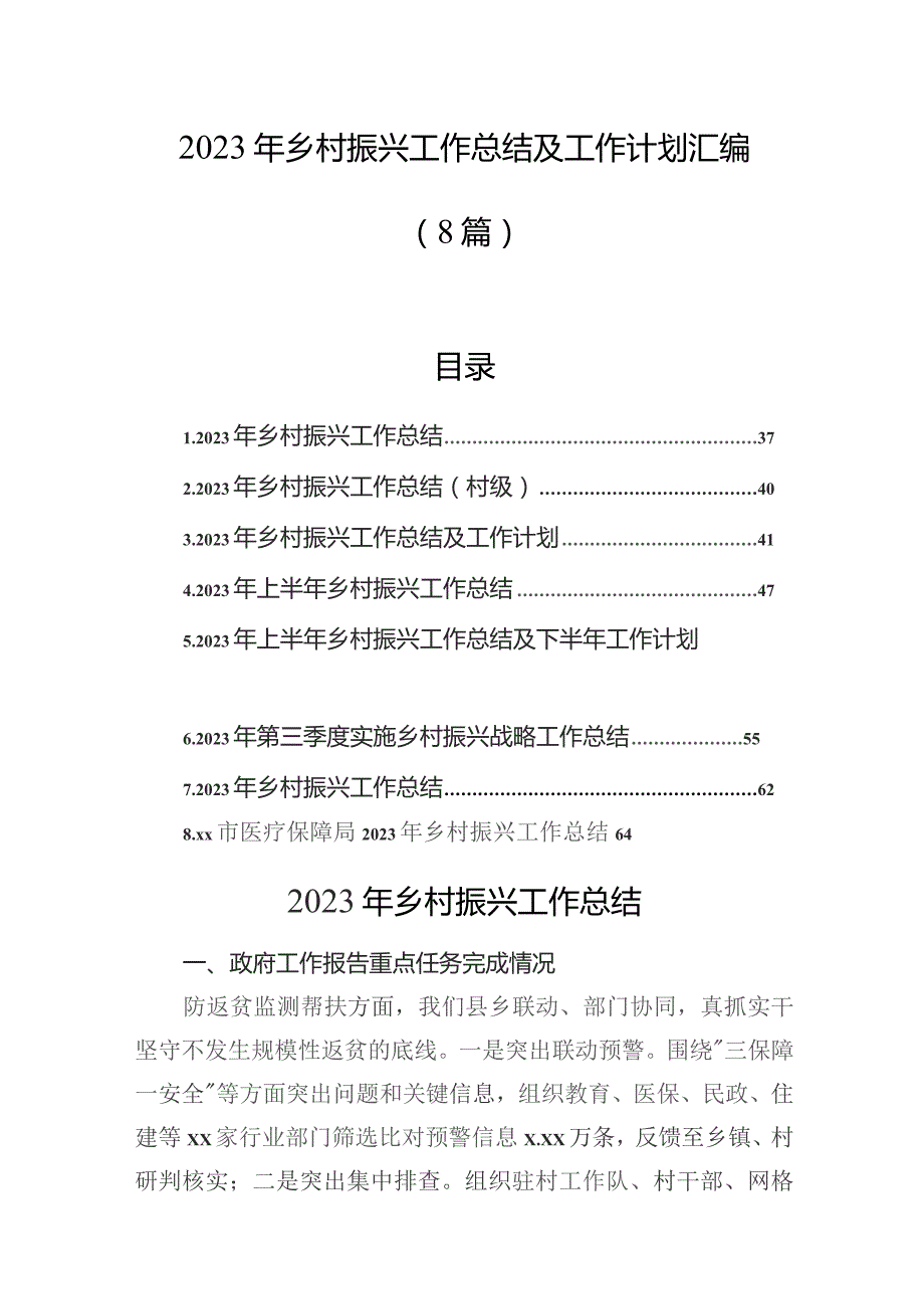 2023年乡村振兴工作总结及工作计划汇编（8篇）.docx_第1页