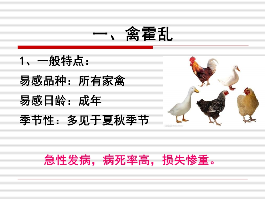 家禽常见细菌性传染病的诊断与防治.ppt_第2页