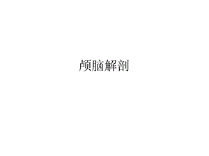 颅脑解剖.ppt