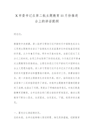 X市委书记在第二批主题教育11月份推进会上的讲话提纲.docx