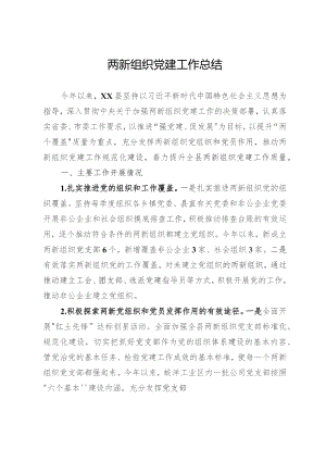 两新组织党建工作总结.docx