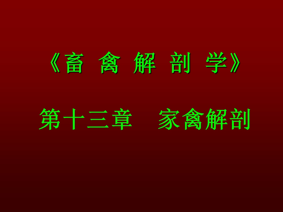 家禽解剖.ppt_第1页