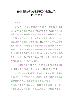 在耕地保护和执法督察工作推进会议上的讲话2篇.docx