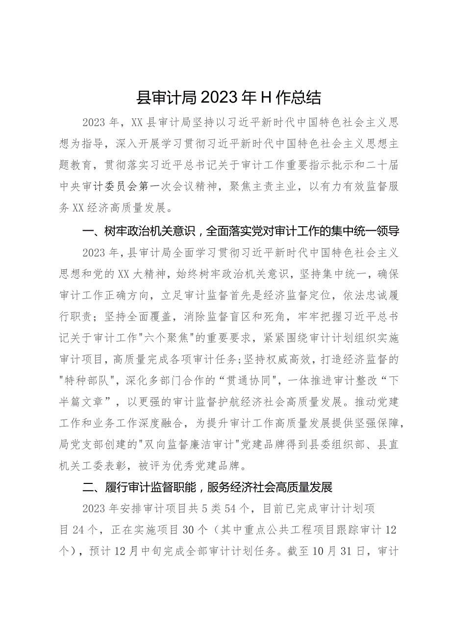 县审计局2023年工作总结.docx_第1页