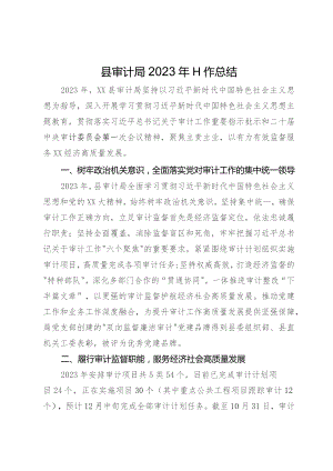 县审计局2023年工作总结.docx