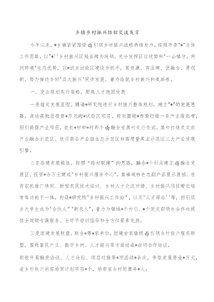 乡镇乡村振兴经验交流发言.docx