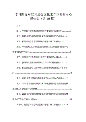 2023学习践行对宣传思想文化工作重要指示心得体会（共16篇）.docx