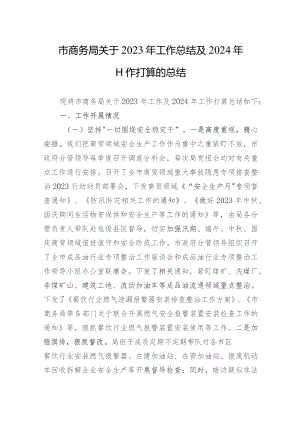 2023年工作总结及2024年工作打算的总结 3篇.docx