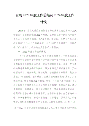 公司2023年度工作总结及2024年度工作计划.docx