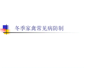 冬季家禽常见病防制.ppt