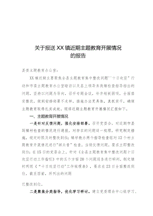 乡镇主题教育开展情况的报告.docx