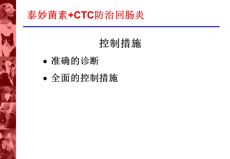 回肠炎的控制.ppt_第1页