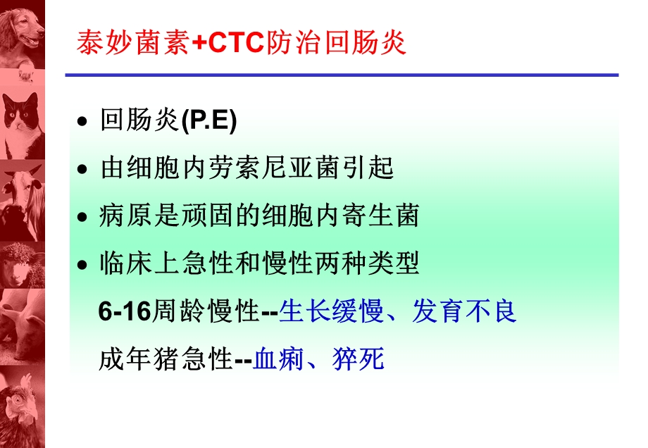 回肠炎的控制.ppt_第2页