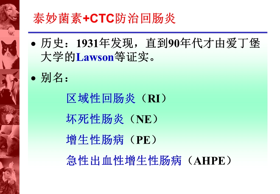 回肠炎的控制.ppt_第3页