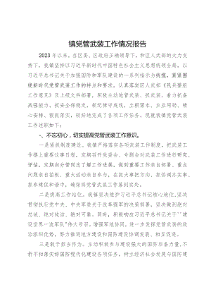 镇2023年党管武装工作情况总结报告.docx