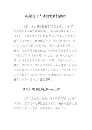 凝聚青年人才助力乡村振兴.docx