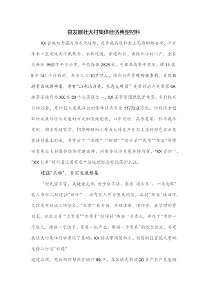 县发展壮大村集体经济典型材料.docx