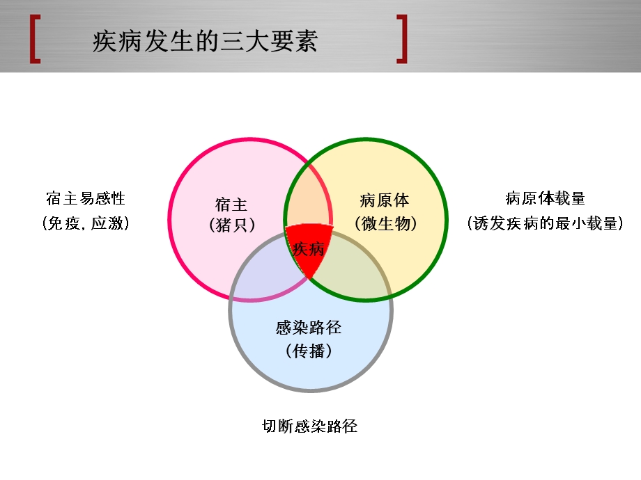 猪场消毒与防疫.ppt_第2页