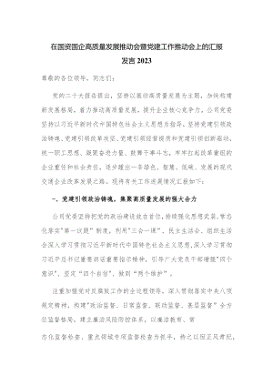 在国资国企高质量发展推动会暨党建工作推动会上的汇报发言2023.docx