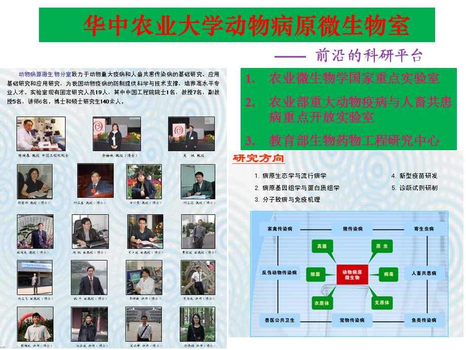 华中农业大学规模化猪场临床技术支撑与疫病检测防控方案.ppt_第2页