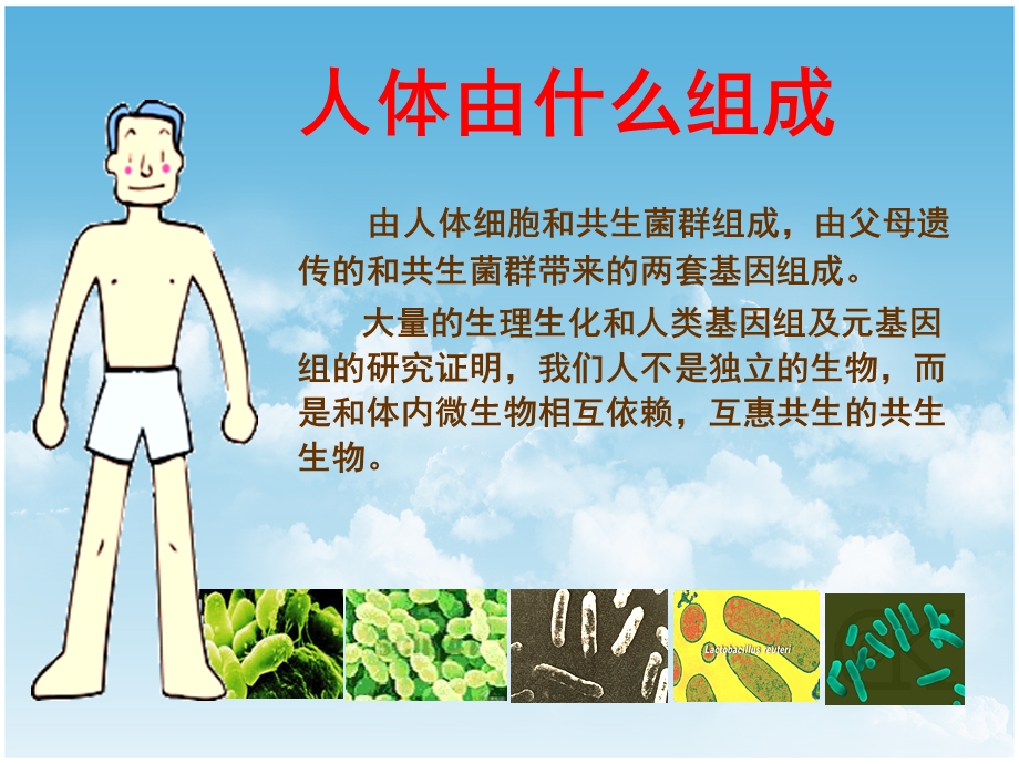 益生菌讲座(老人专场).ppt_第2页