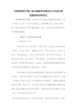 市局领导班子第二批主题教育专题民主生活会对照检查剖析材料范文.docx