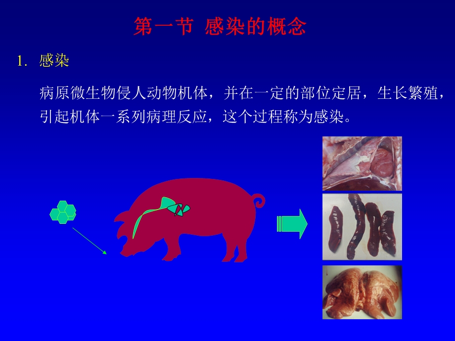 1家畜传染病学总论.ppt_第2页