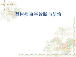 梨树病虫害诊断与防治.ppt