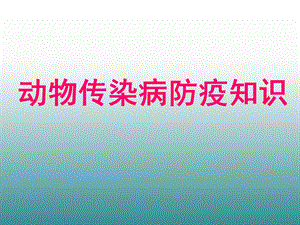 动物传染病防疫知.ppt