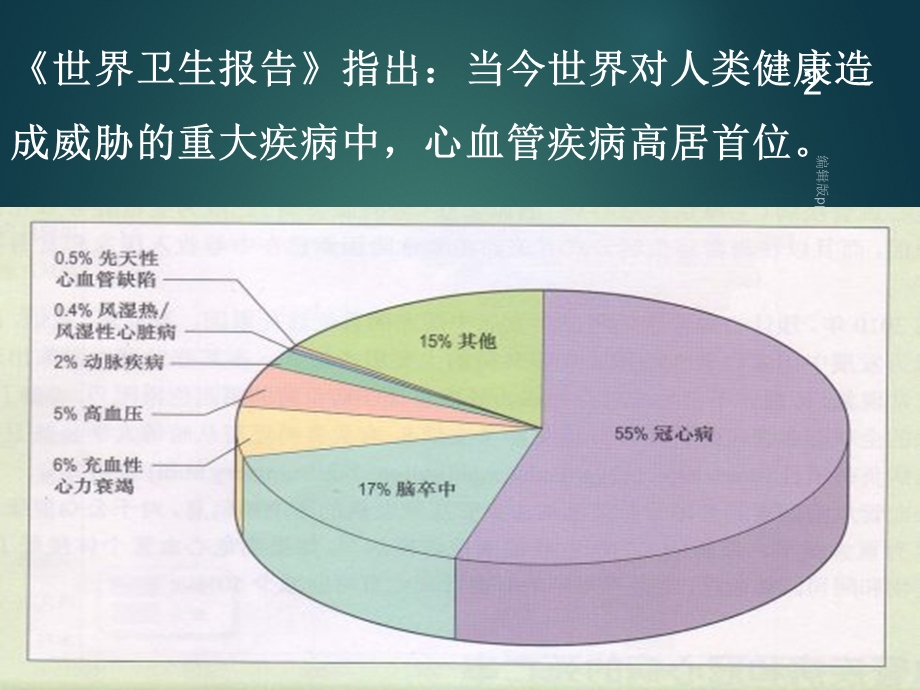 冠心病的识别及冠脉搭桥术.ppt_第2页