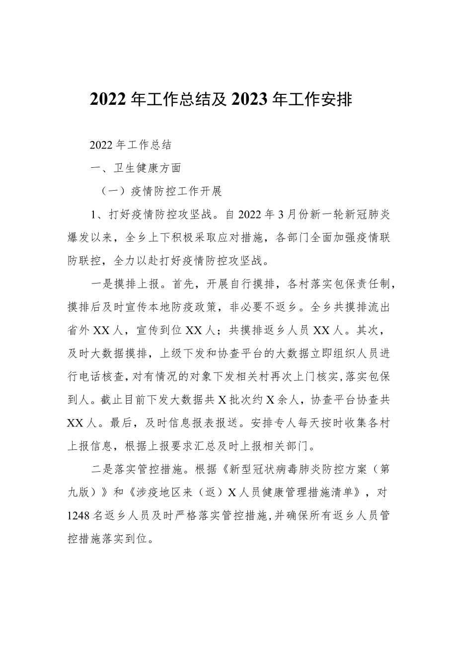 2022年工作总结及2023年工作安排.docx_第1页