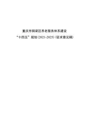 重庆市铜梁区养老服务体系建设.docx