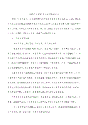 集团公司2023班子对照检查发言.docx